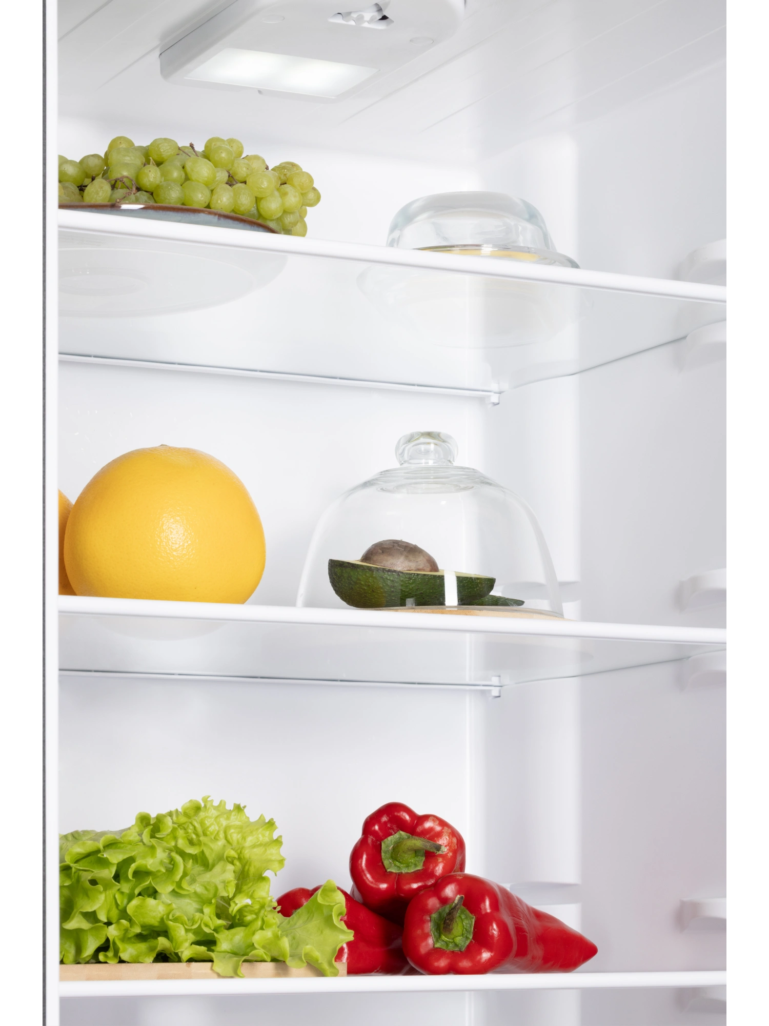  Холодильник NORD NRG 152 DTM