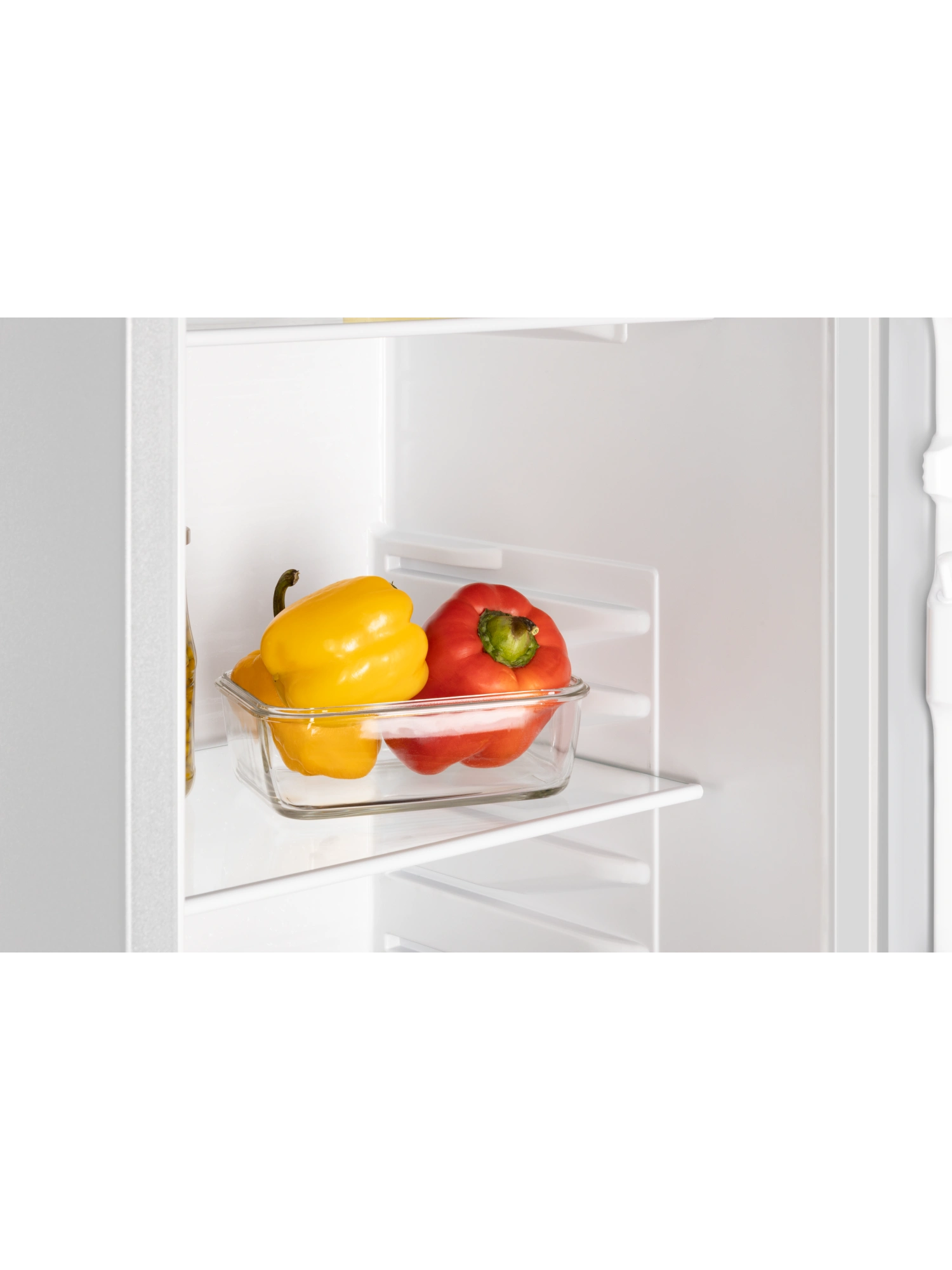  Холодильник NORD NR 508 W