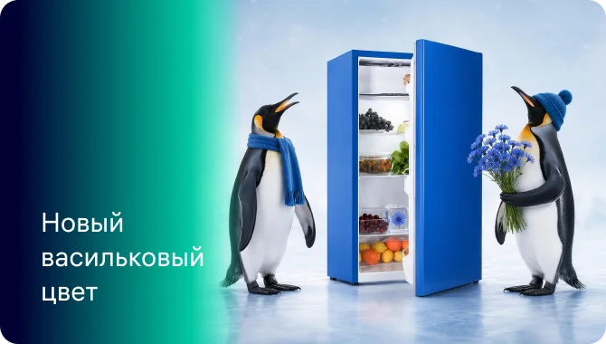 С Днем России! Представляем лимитированную линейку мини-холодильники NORD в патриотичном синем цвете NORD