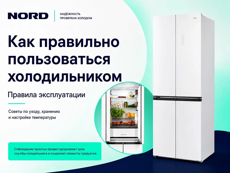 Как правильно пользоваться холодильником NORD: первый запуск, хранение продуктов и уход NORD