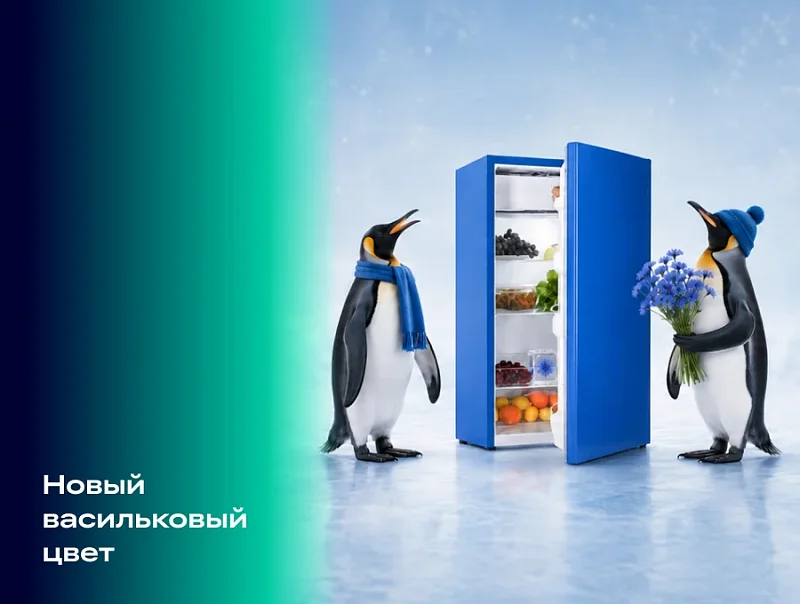 С Днем России! Представляем лимитированную линейку мини-холодильники NORD в патриотичном синем цвете NORD